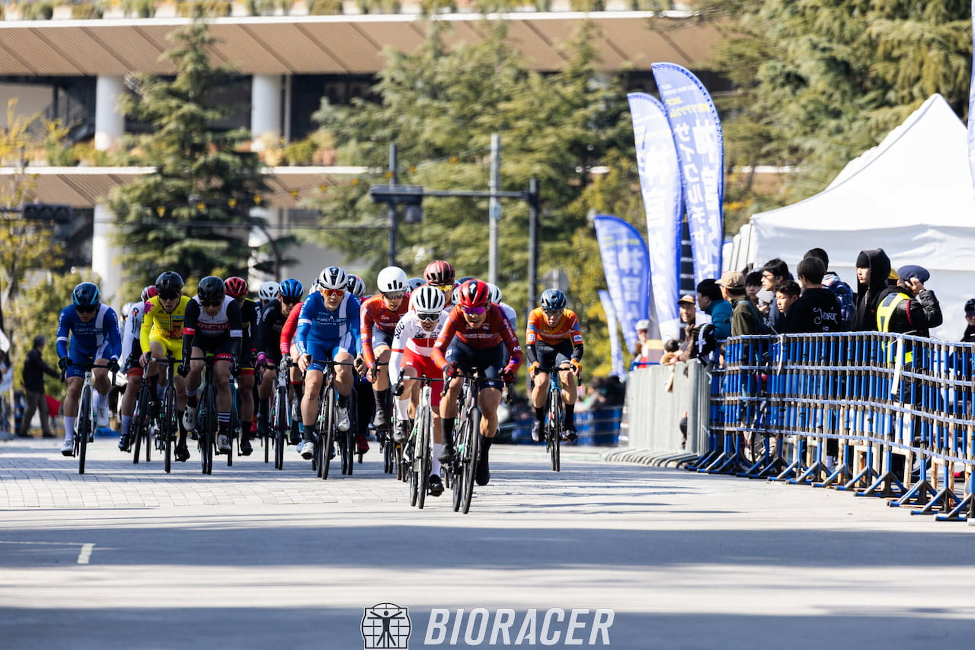 ロードレースで集団走行するBIORACERウェアの選手